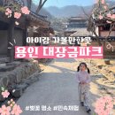 책과비디오산책 | 경기남부 용인 아이랑 가볼만한곳｜벚꽃 시즌 대장금파크 후기(무료 관람 꿀팁)