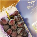 주식회사 농원 이미지