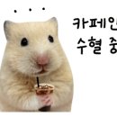 대영목장 이미지