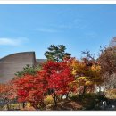 당동중학교 이미지