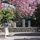 선흘1리경로당 이미지