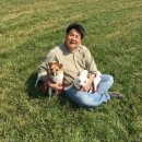 도기플래닛 더 스테이 이미지