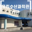 수산화장실 | 부산 국립수산과학관 겨울 아이들과 실내데이트 가볼만한 곳 방문 후기