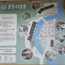 솔솔리조트 2호점 이미지