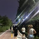 바카티오 이미지