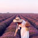 나래농장 이미지