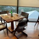 호텔에스 | 신라호텔 더파크뷰 뷔페 주말 저녁 후기 feat. 주차 꿀팁, 에스브라운 할인 혜택