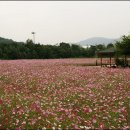 경기도자박물관 이미지