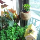 구월의 집 이미지