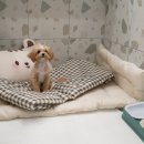 화정호텔 이미지