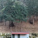 아쉬람펜션 이미지