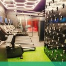 종로청운스포렉스 피트니스센터 | 내자동헬스장 종로청운스포렉스피트니스센터 전문 트레이닝 가능