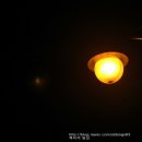 카페씨에스타 - 117717 | 카페씨에스타