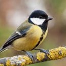 산내들마을휴먼시아4단지 이미지