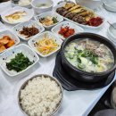 임가네국밥 | [속초맛집2] 속초 아바이마을 맛집 '속초 함경도 임가네' 아기랑 다녀온 국밥 찐후기