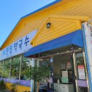 노란집 막국수 | 기장 정관 노란집막국수 해장에찐