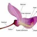 꽃이야기 이미지