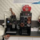 닭장애웬오리청주