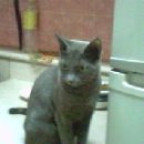 간석4동-8 이미지