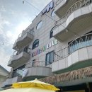 블루마린민박 | [강원 양양]양파 다이브