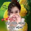 인생영상