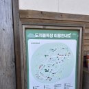 이&장 목장 | [내돈내산]도치돌알파카목장방문기 솔직후기 아이들이 무서워해서 빨리 나온곳 🥲