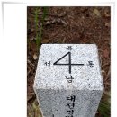 서구-01-24 이미지