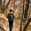 금호리조트(주)설악 이미지