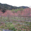 향원농장 이미지