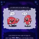 내품애동물병원 이미지