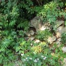 다람쥐모텔 이미지