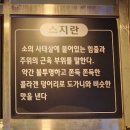김해 장유 오뎅빠 추천 오뎅에빠지다.