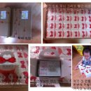 황후 캣 이미지