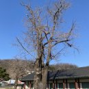 옛숨결 | 🏘️ 고전의 숨결이 머무는 곳, 전주향교(Jeonju Hyanggyo) 방문 후기