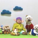 홍그루밍 네이버블로그