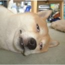 오늘머랭