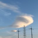 하늘달팽이 이미지