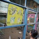 원주허브팜식물박물관 이미지