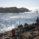 서부골프 이미지