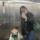 쁘띠플로 | 고야드 쁘띠플로 (3개월 사용후기)