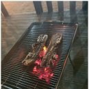 워킹애니멀스쿨 이미지