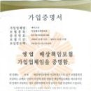 크린원 이미지