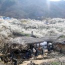 테마투어(목장 체험) 이미지