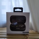 주식회사 잇서 | 회사 동료 추천으로 산 펜톤 바이버 무선이어폰 실사용후기