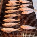 호남센터-91 이미지