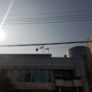 장안1동 주민센터 이미지