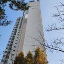 판교원로 이미지