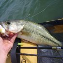 함평한우깨소 이미지