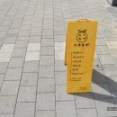 흥해청과