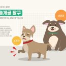 석촌호수동물병원 이미지